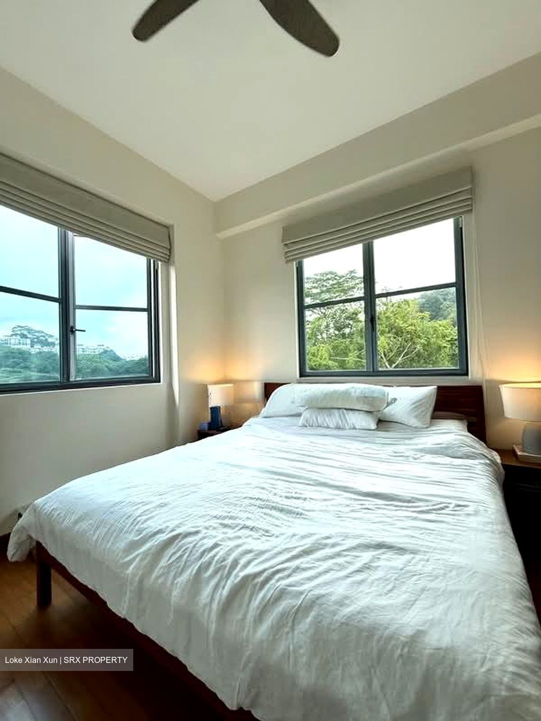 Springdale Condominium (D21), Condominium #574173201